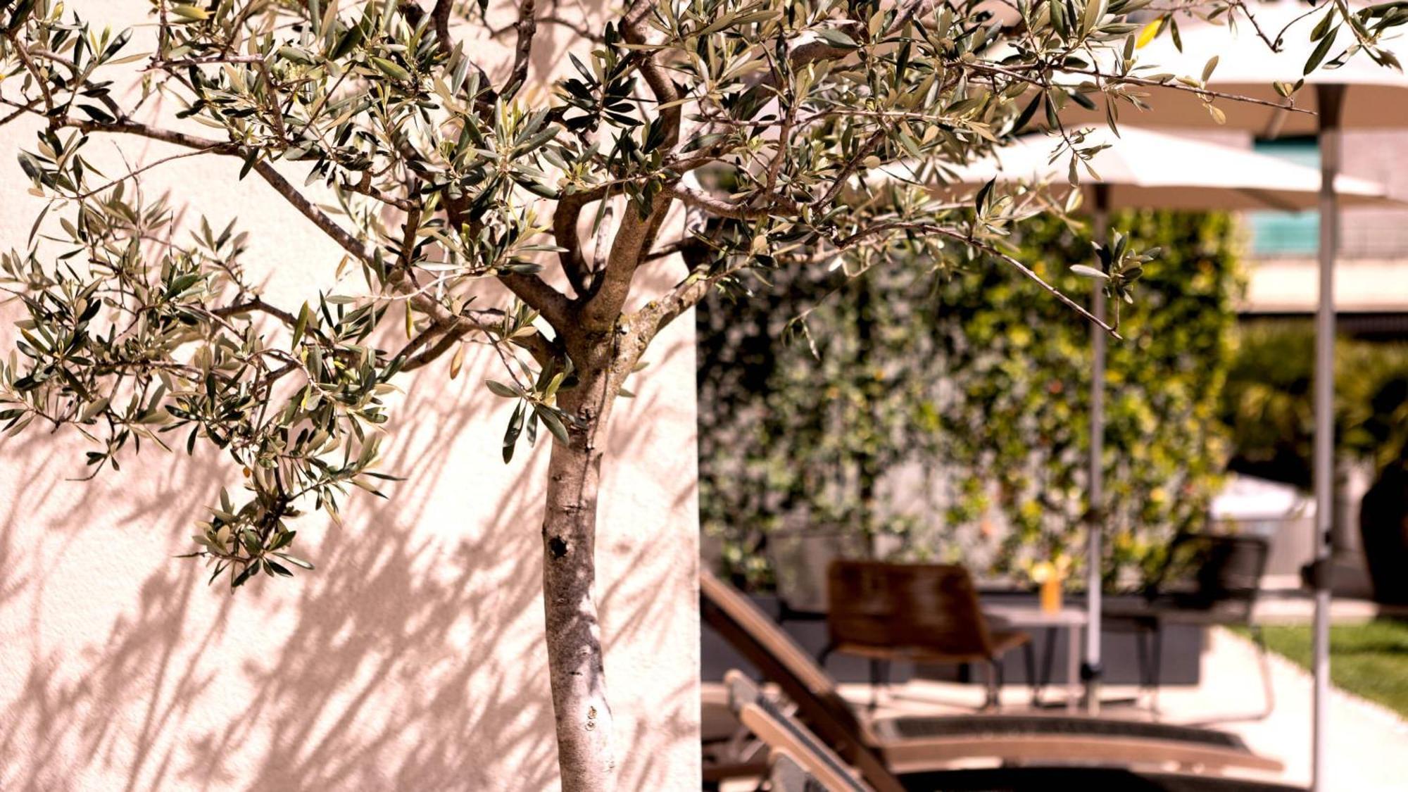 City Hotel Merano Exterior photo